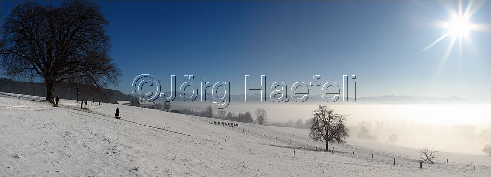 090113_Nebel_Wetzwil_30.jpg