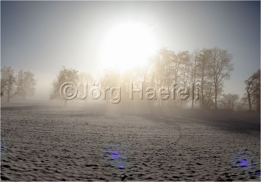 090113_Nebel_Wetzwil_31.jpg