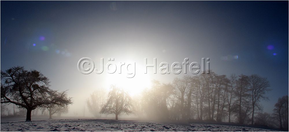 090113_Nebel_Wetzwil_32.jpg
