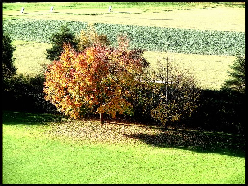 HE_Langenthal_065.jpg