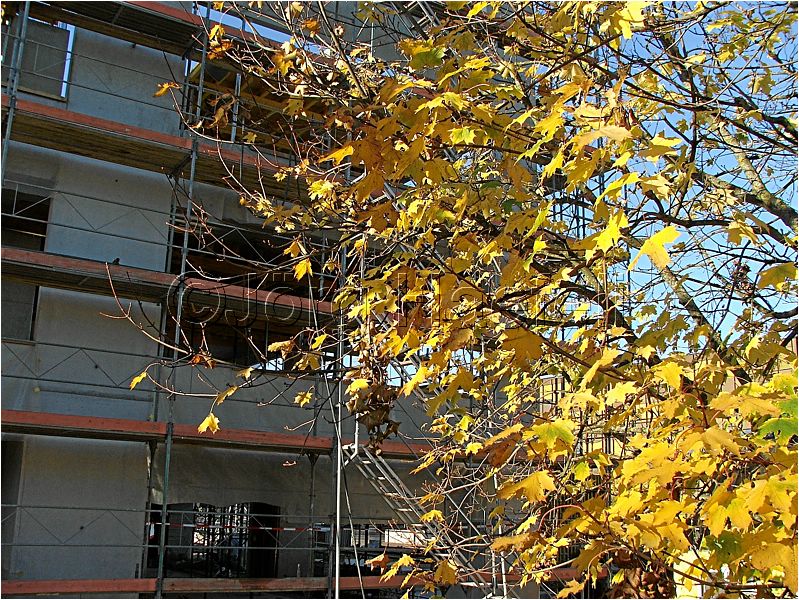 HE_Langenthal_095.jpg