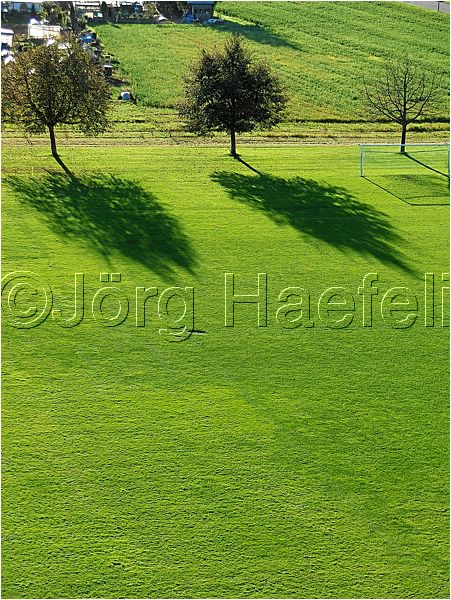 HE_Langenthal_101.jpg