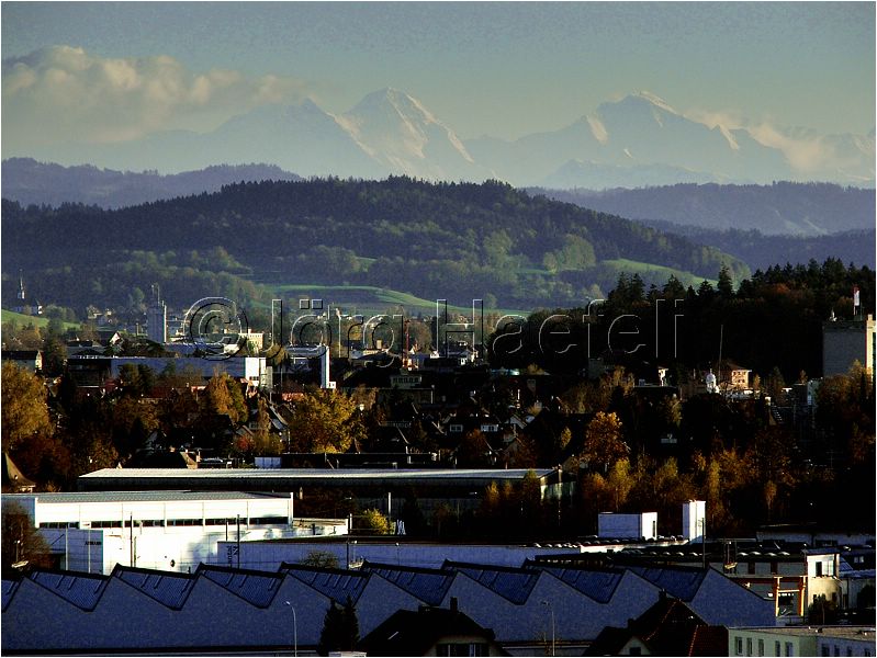 HE_Langenthal_124.JPG