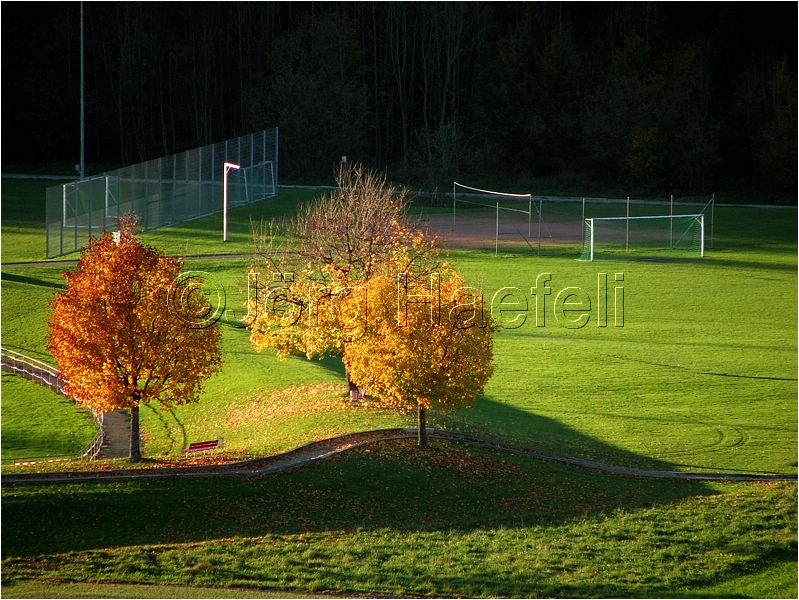HE_Langenthal_146.JPG