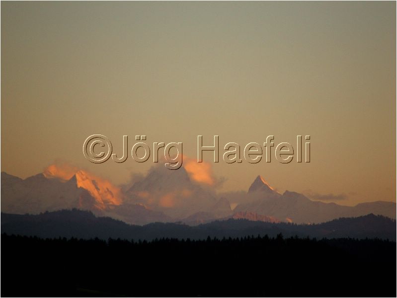 HE_Langenthal_209.JPG