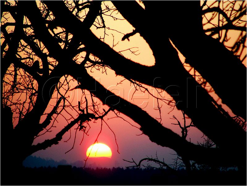 11_sunrise_set_006.jpg