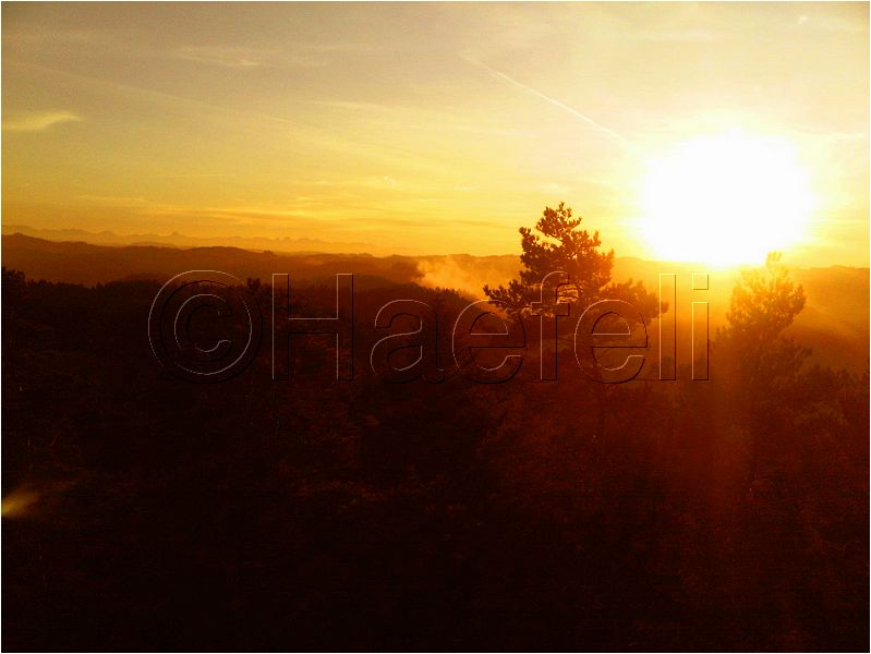 11_sunrise_set_010.jpg