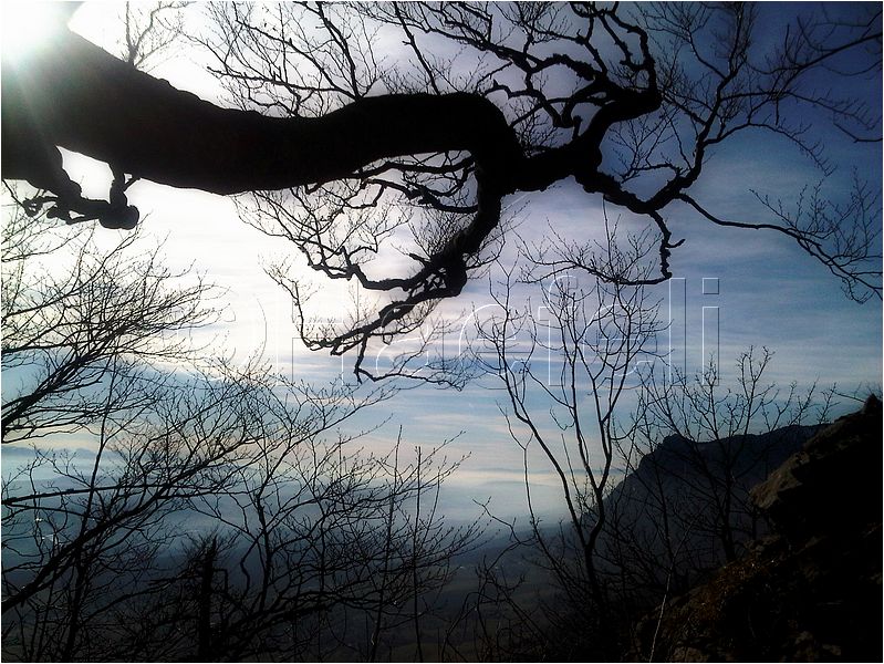 11_sunrise_set_013.jpg