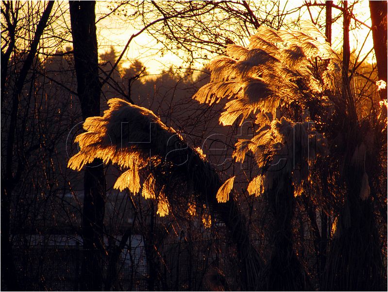 11_sunrise_set_015.jpg