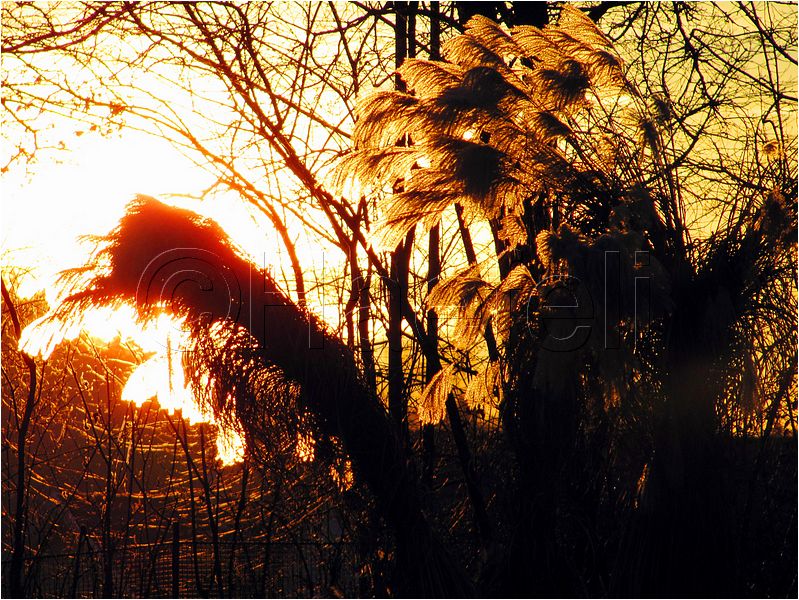 11_sunrise_set_017.jpg