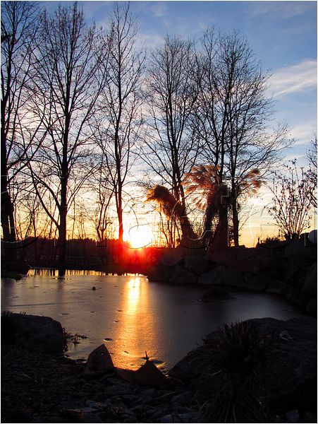 11_sunrise_set_018.jpg