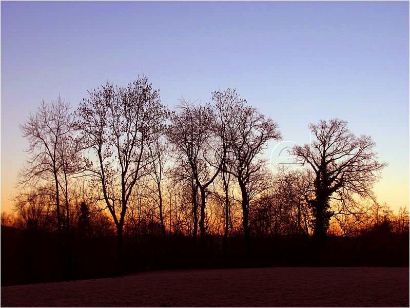 11_sunrise_set_019.jpg
