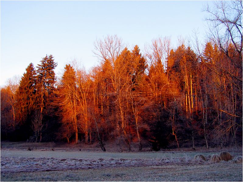11_sunrise_set_023.jpg
