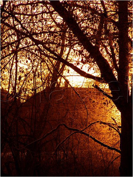 11_sunrise_set_026.jpg
