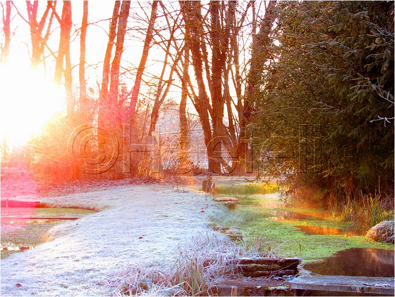 11_sunrise_set_028.jpg
