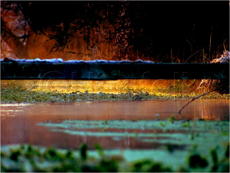 11_sunrise_set_029.jpg