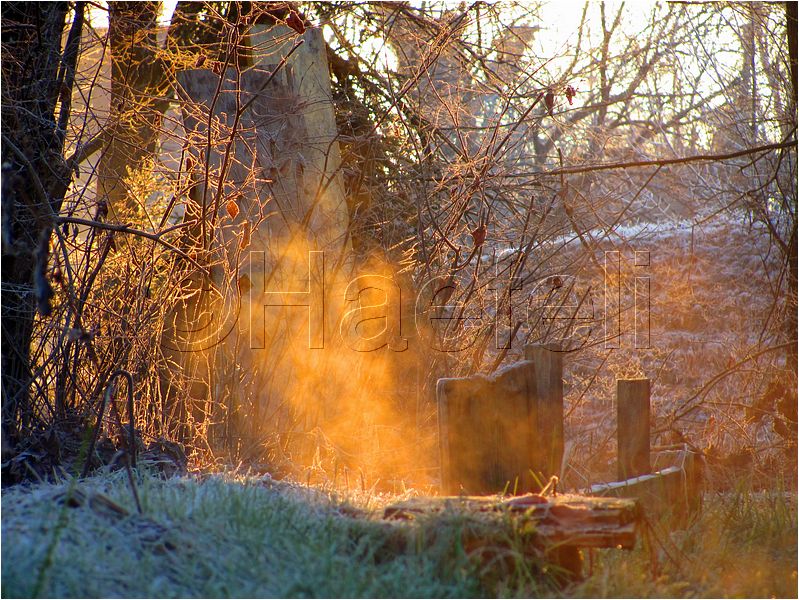 11_sunrise_set_031.jpg