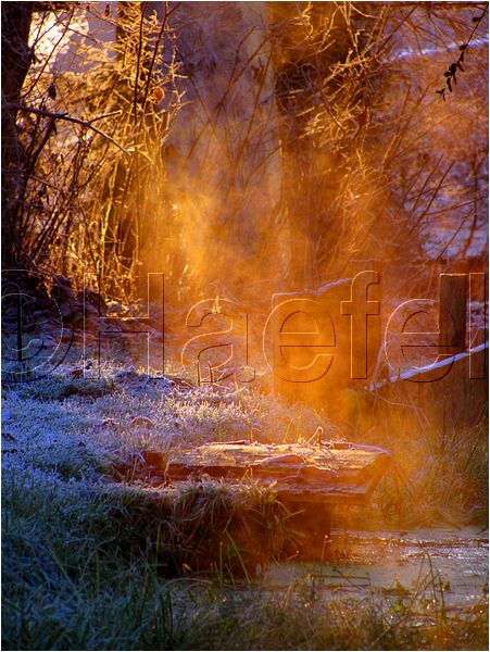 11_sunrise_set_032.jpg