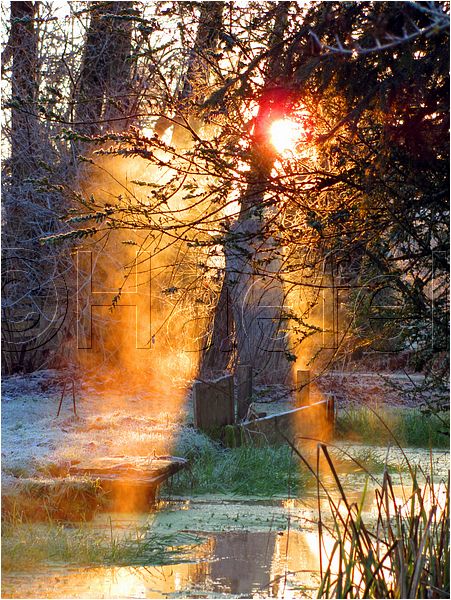 11_sunrise_set_033.jpg