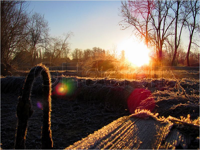 11_sunrise_set_035.jpg