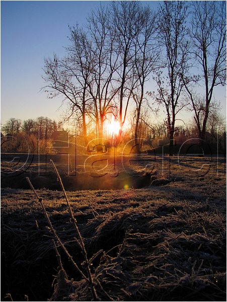 11_sunrise_set_036.jpg