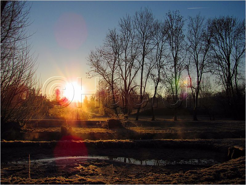11_sunrise_set_037.jpg