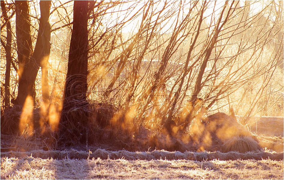 11_sunrise_set_038.jpg