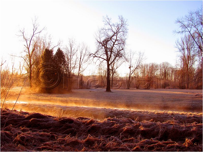 11_sunrise_set_047.jpg