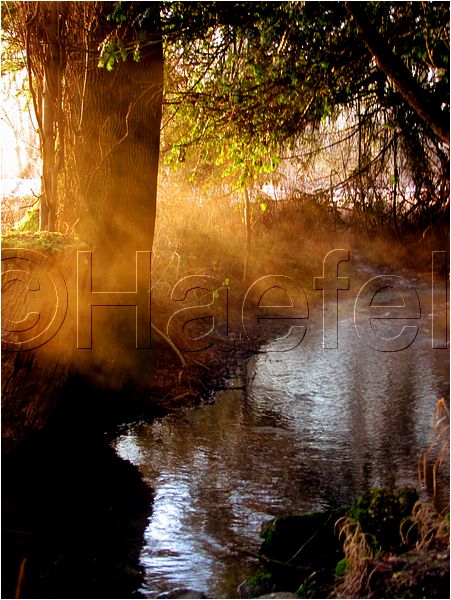 11_sunrise_set_052.jpg