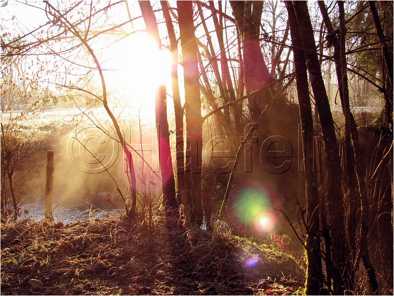 11_sunrise_set_053.jpg