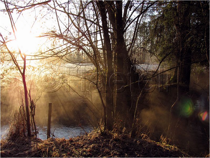 11_sunrise_set_054.jpg