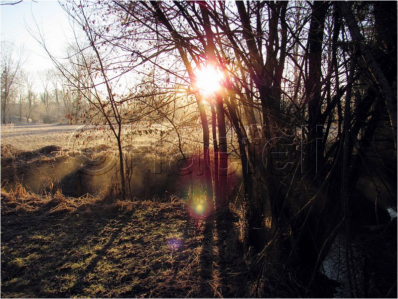11_sunrise_set_056.jpg