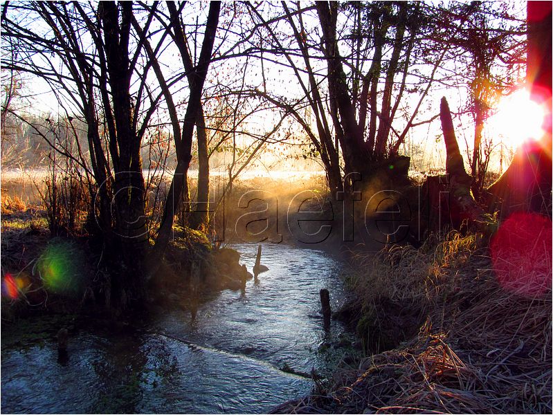 11_sunrise_set_057.jpg