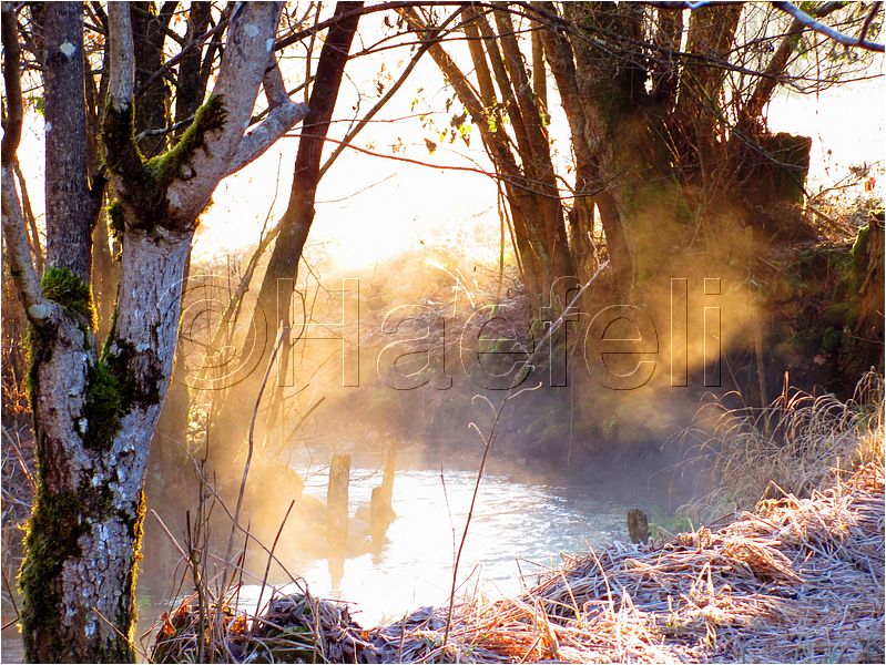 11_sunrise_set_060.jpg