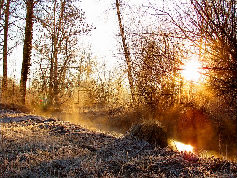 11_sunrise_set_061.jpg