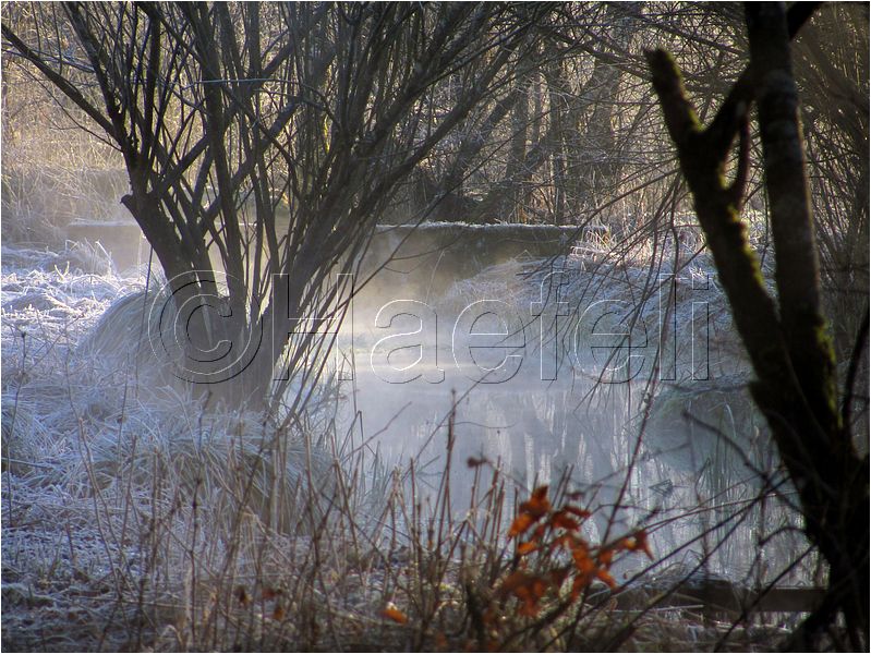 11_sunrise_set_063.jpg