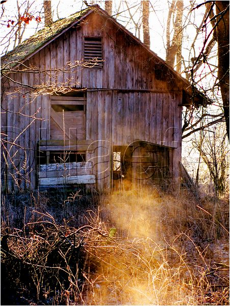 11_sunrise_set_071.jpg