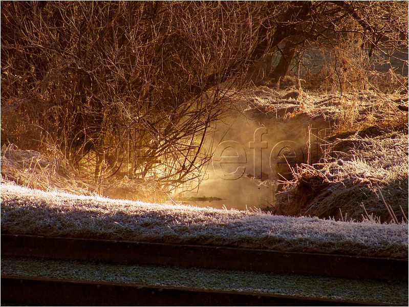 11_sunrise_set_073.jpg