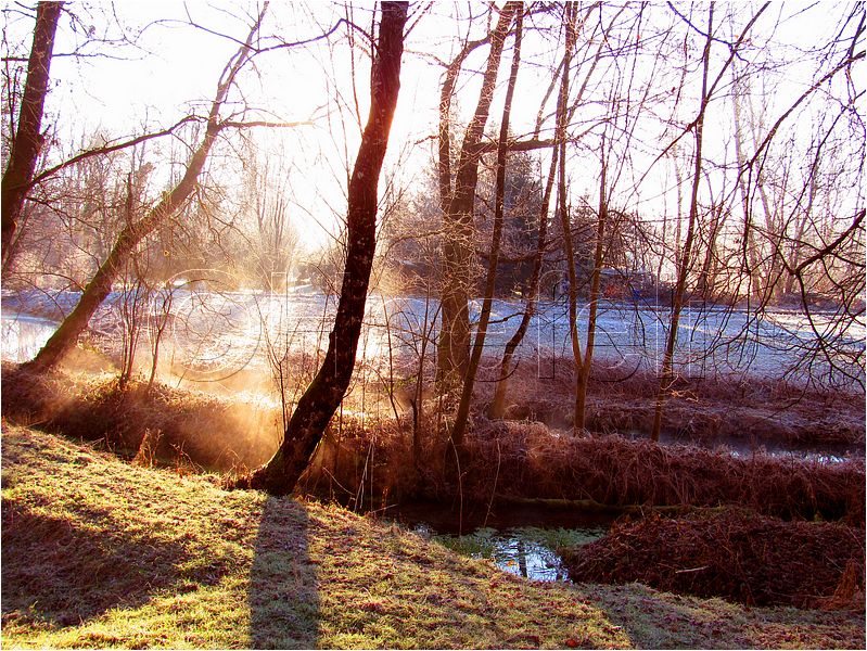 11_sunrise_set_077.jpg