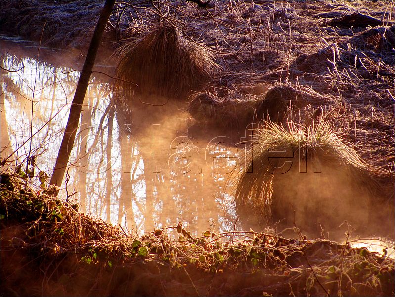 11_sunrise_set_080.jpg