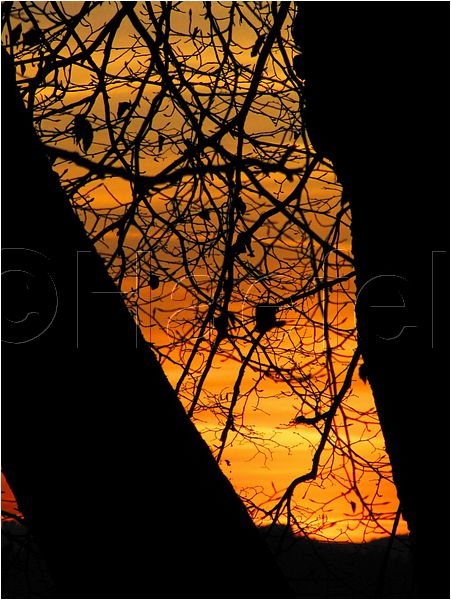 11_sunrise_set_085.jpg