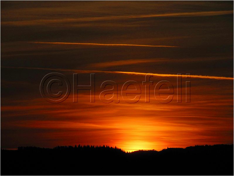 11_sunrise_set_092.jpg