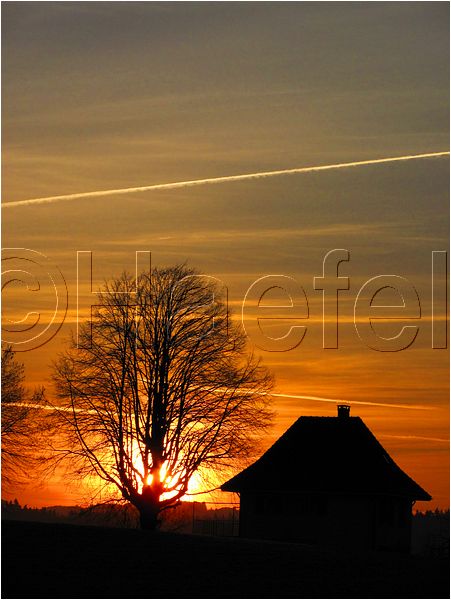 11_sunrise_set_095.jpg