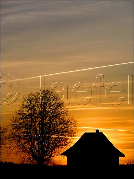 11_sunrise_set_096.jpg