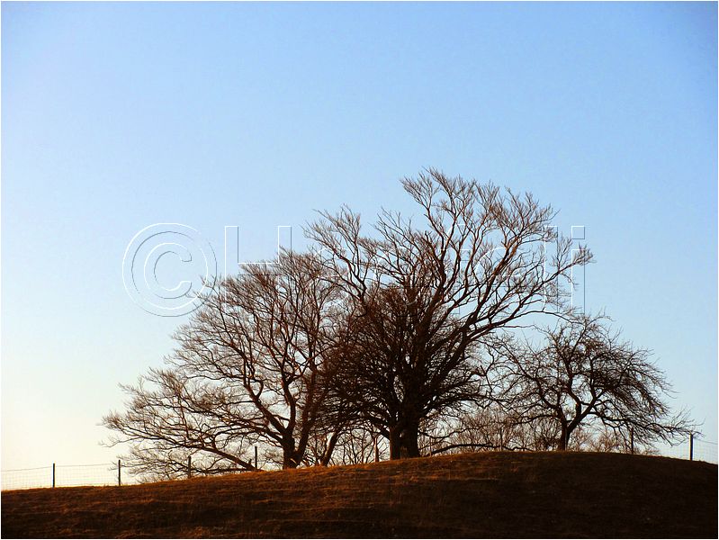 11_sunrise_set_098.jpg