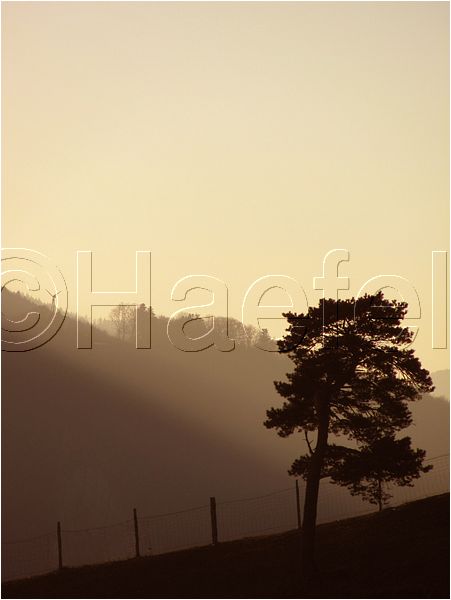 11_sunrise_set_101.jpg