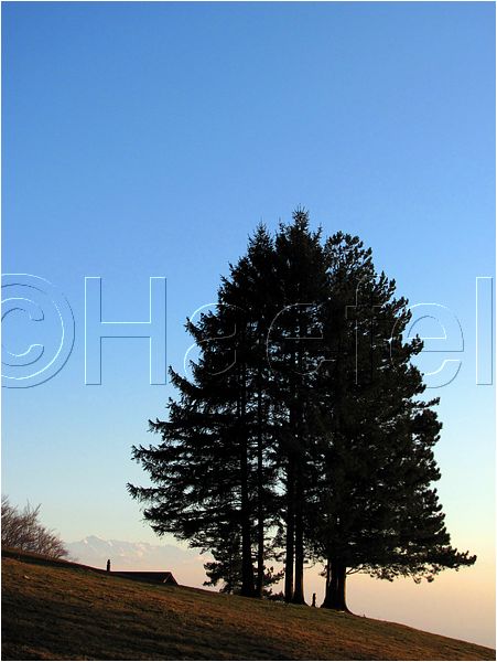 11_sunrise_set_103.jpg