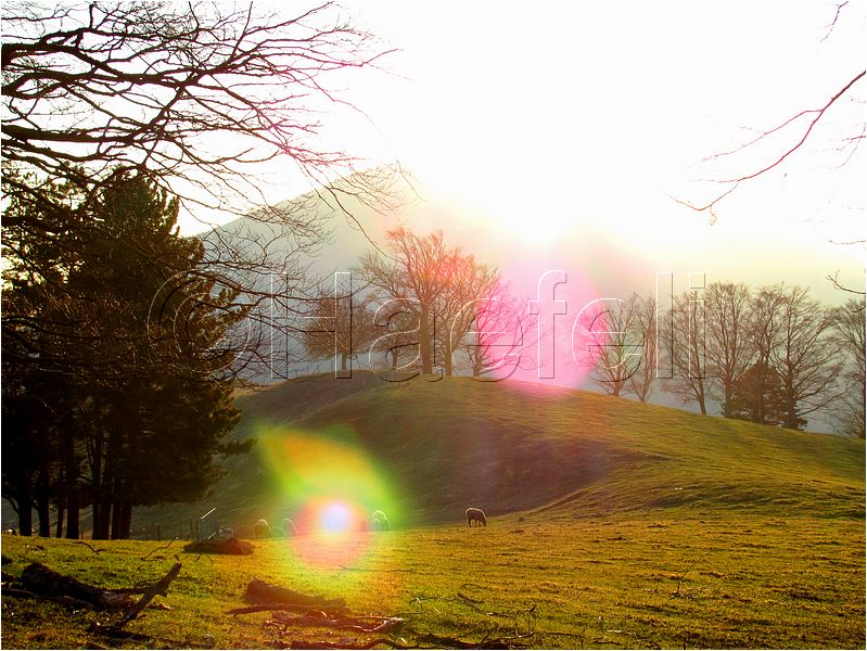 11_sunrise_set_104.jpg