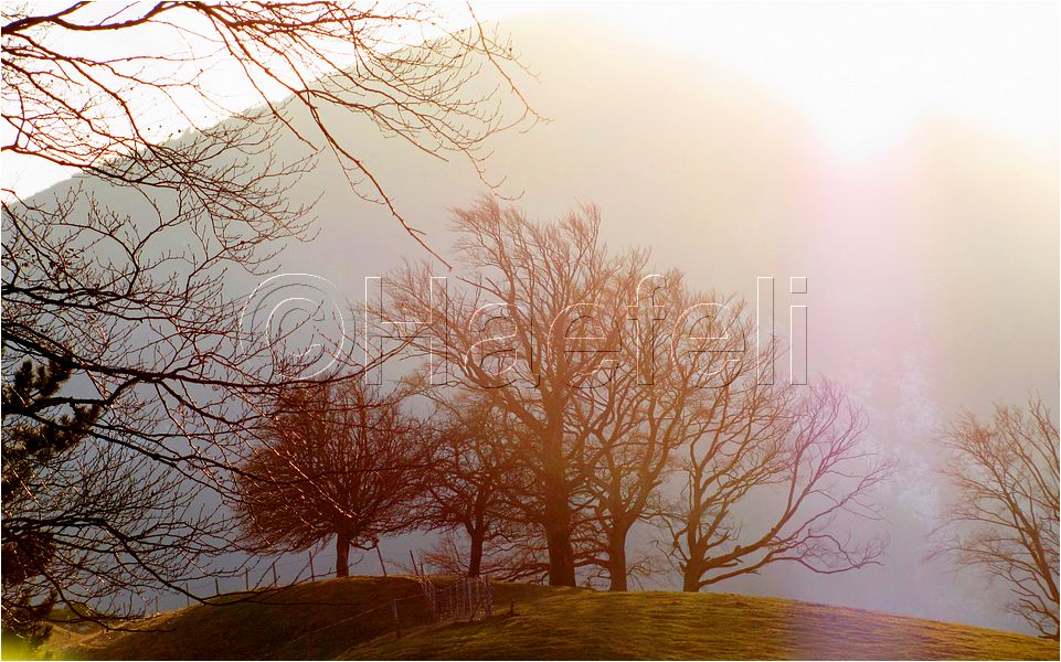11_sunrise_set_105.jpg