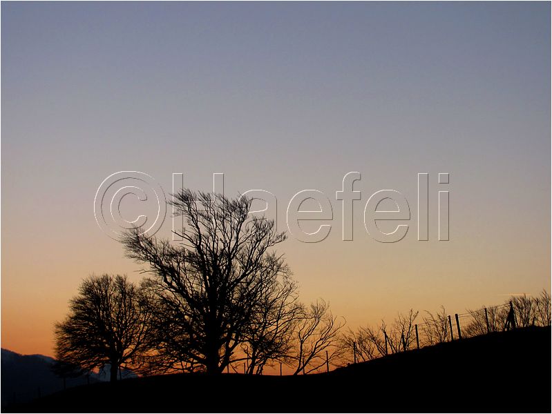 11_sunrise_set_124.jpg
